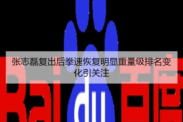 张志磊复出后拳速恢复明显重量级排名变化引关注